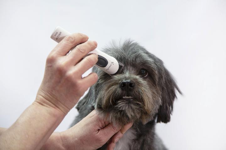 Immagine prodotto Aesculap Tagliacapelli a batteria Exacta (Cane)