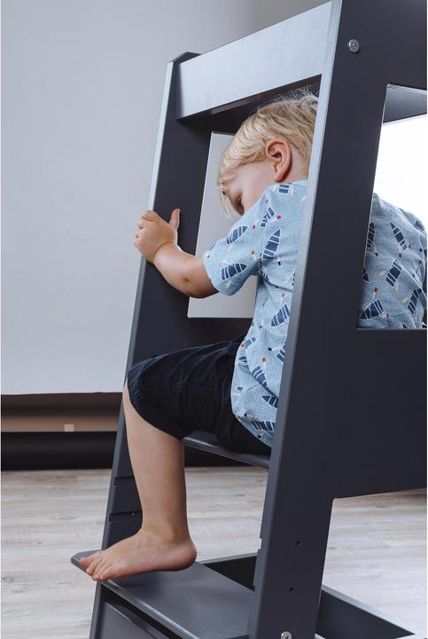 Immagine prodotto Tissi Torre di apprendimento Felix