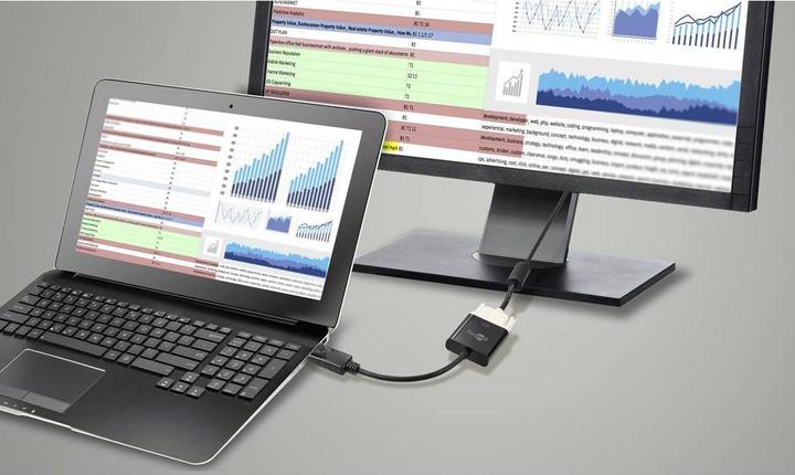 Immagine prodotto Goobay DisplayPort/DVI-D (DVI, 20 cm)