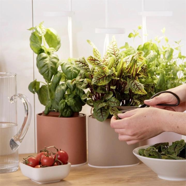 Actual product image Prêt à Pousser Herb Pot Nano, Celadon Green (13.50 cm)