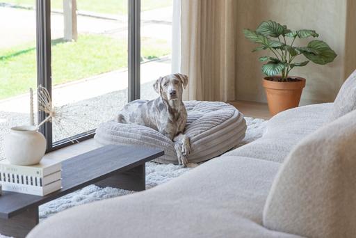 Produktbild Designed by Lotte Liegekissen Reza (Hund)