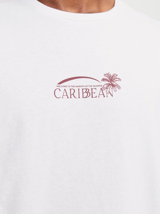 Produktbild Jack & Jones Gedruckt Rundhals T-shirt T-shirt (XXL)