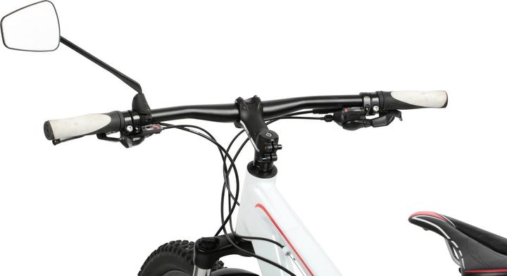 Produktbild Zefal Espion Z56
