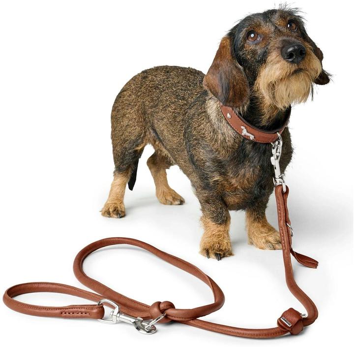 Immagine prodotto Hunter Collare bassotto Monaco 37/XS-S, pelle di vacchetta (37, Cane, Generale)