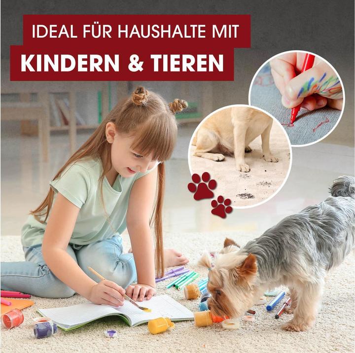 Image du produit CleanMaxx Nettoyage des tapis/tapis