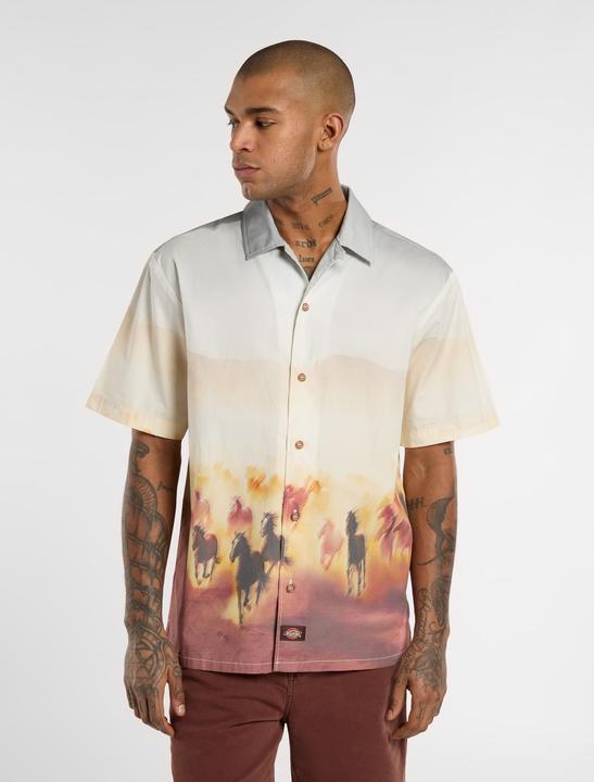 Produktbild Dickies Running Wild Shirt SS (M)