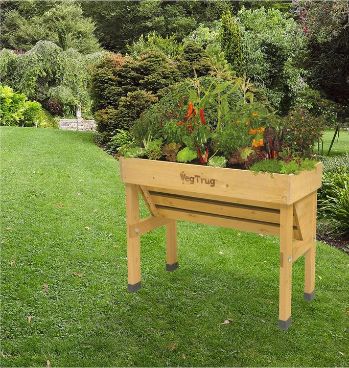Actual product image VegTrug Wallhugger