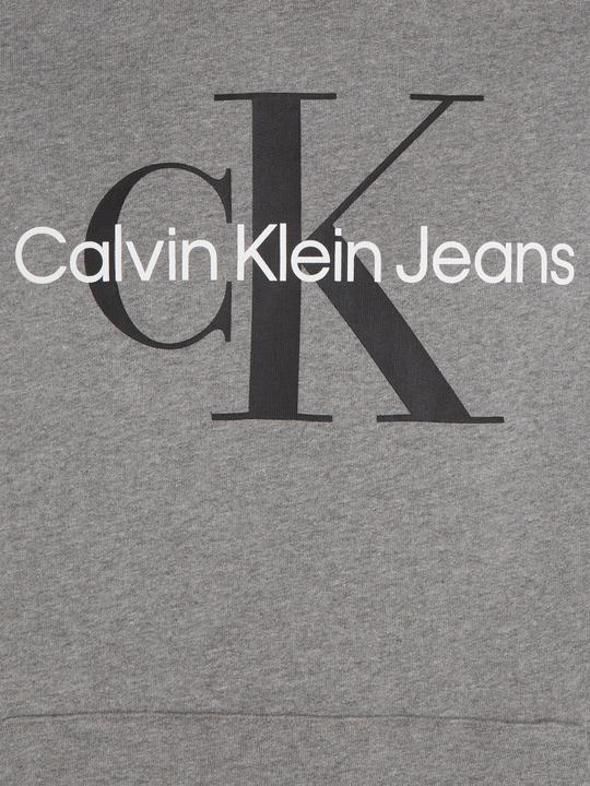 Actual product image Calvin Klein Jeans Core Monogram Hoodie (L)