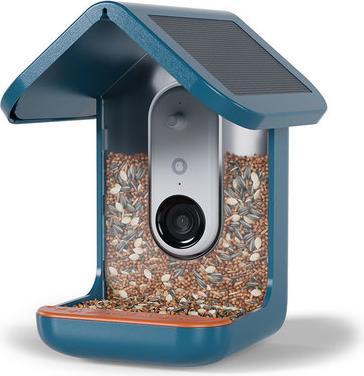 Bird Buddy Mangeoire d'oiseaux intelligente 2.0