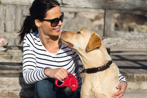 Actual product image Flexi New Classic (S, Dog, Walks)