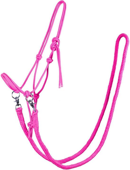 Qhp Knotted halter with reins