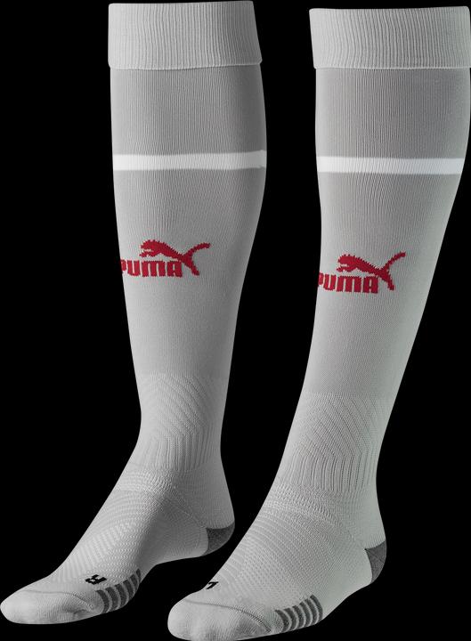 Immagine prodotto Puma Team SFV Banded Sock Replica (43 - 46)