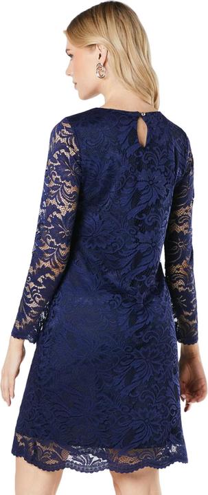 Actual product image Principles Womens/Ladies Lace 3/4 Sleeve Dress (38 D)