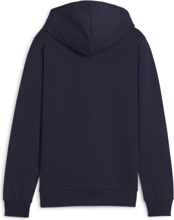 Image du produit Puma teamGOAL Casuals Hoody Jr (128)