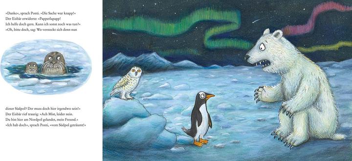 Produktbild Ponti Pento. Die Abenteuer eines Pinguins (Deutsch, Julia Donaldson, Axel Scheffler, Susan Kreller, 2024)