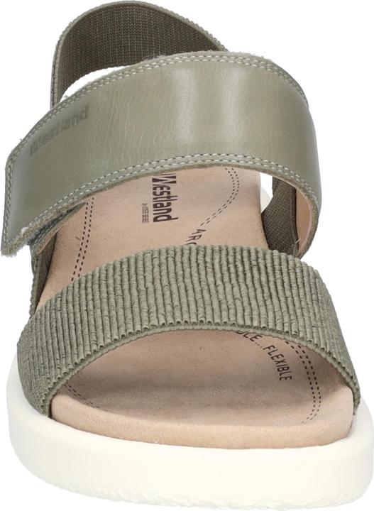 Immagine prodotto Westland 25407-410 (41)