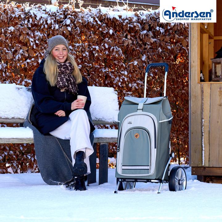 Immagine prodotto Andersen Carrello Royal Hydro 2.1