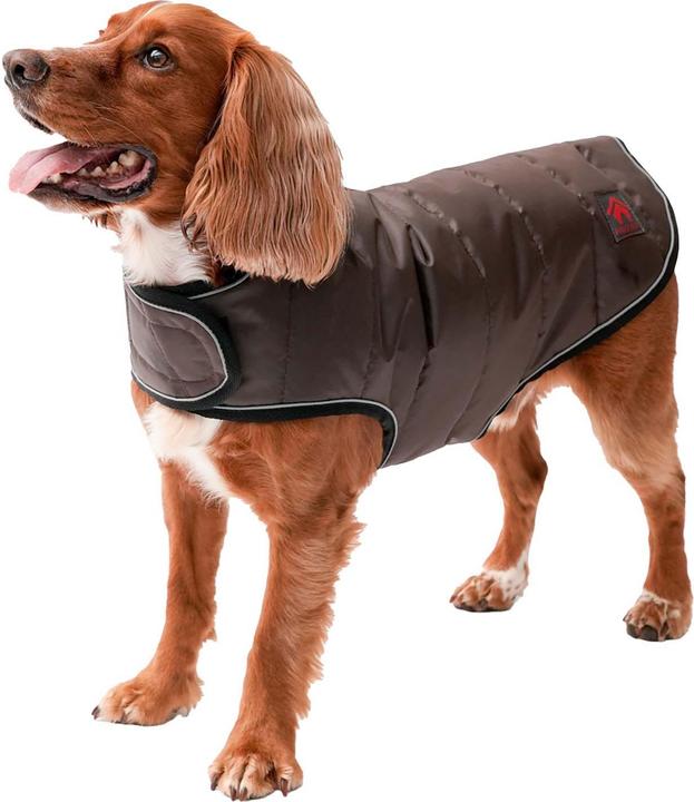 Vêtements pour chien
