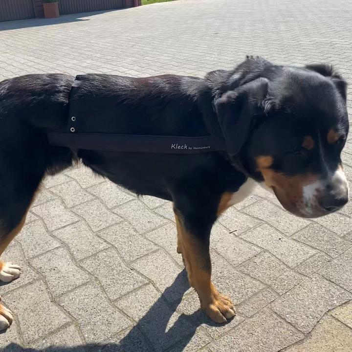 Produktbild by Hennenberg Kleck-Leckschutz Modell (Hund)