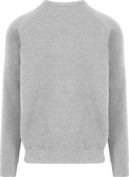 Image du produit Awdis Sweat-shirt Just Hoods Graduate Heavyweight (XL)