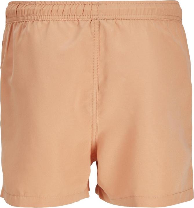 Actual product image Jack & Jones Jjstyd Swim Shorts Ln Jnr (164)