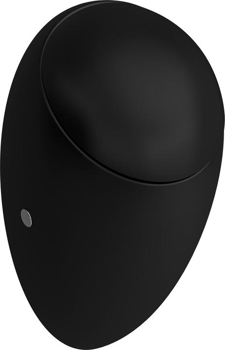 Produktbild Laufen Alessi one Absauge-Urinal, 1 Ltr., mit Löcher für Deckelmontage, ohne Fliege, 325x290mm