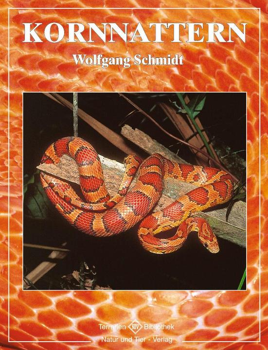 Produktbild Kornnattern (Deutsch, Wolfgang Schmidt, 2004)