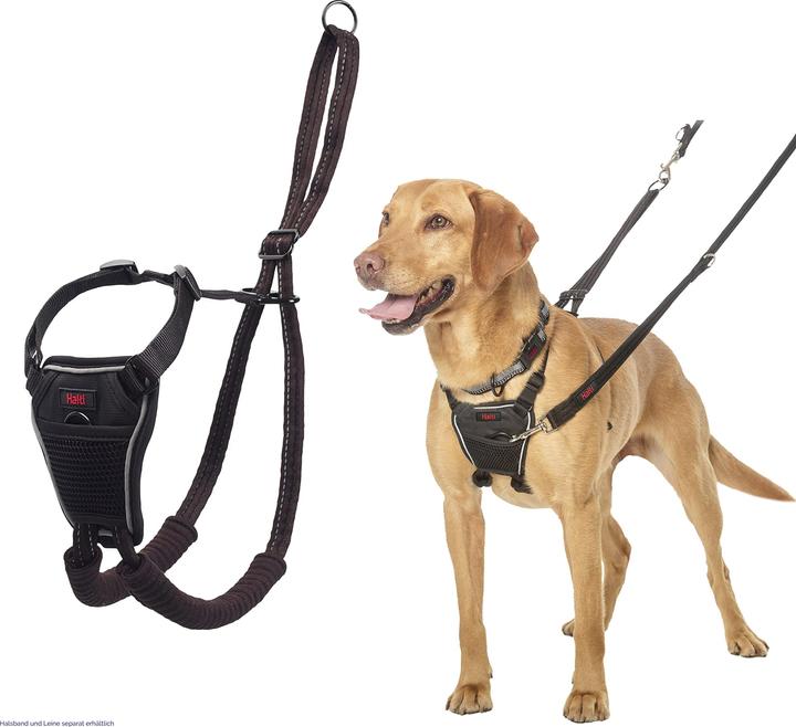 Immagine prodotto Company of Animals Imbracatura Halti No Pull Anti-pull M (M, Cane, Generale)