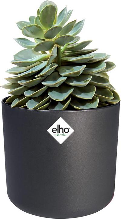 Immagine prodotto Elho b.for soft (18.30 cm)