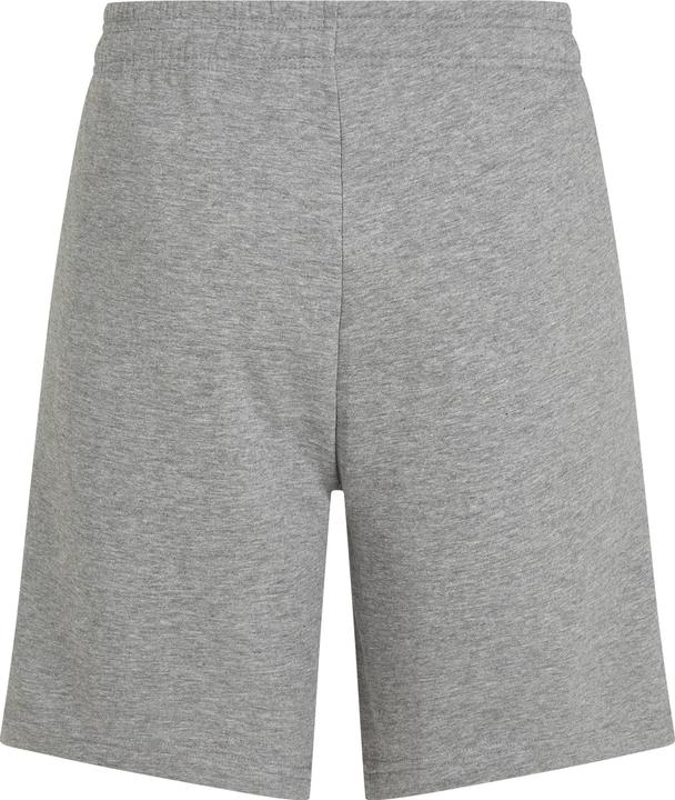 Actual product image O'Neill The Future Surf Society Shorts (S)