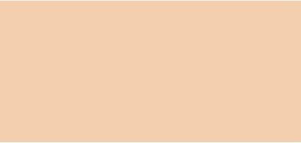 Pola Cosmetics Smooth Camouflage 5 ml concealer - Shade: P2 (P2)
