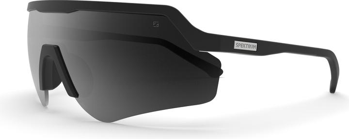 Blankster Sunglasses (Grey)