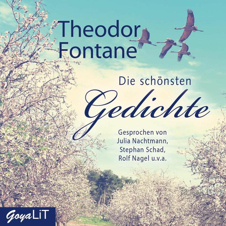 Produktbild Jumbo Die schönsten Gedichte (Deutsch, Theodor Fontane, Julia Nachtmann, v.a. und, Stephan Schad, 2018)