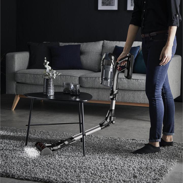 Actual product image Rowenta X-Force Flex 14.60 Animal Care