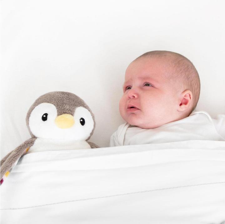Produktbild ZaZu Babyschlafhilfe Phoebe
