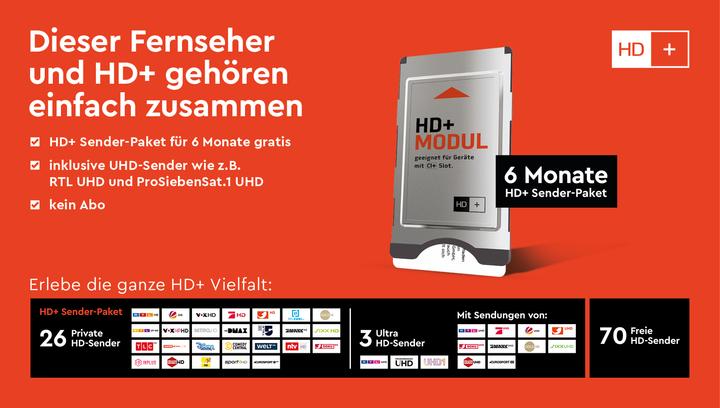 Produktbild HD+ HD+Modul m.6 Monatskarte (Nagravision, CI Modul)