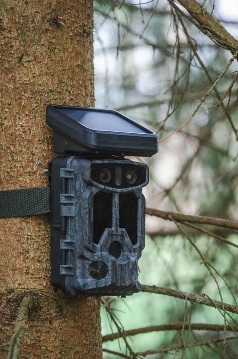 Image du produit Braun Photo Scouting Cam Black1320 Wifi Solar 4K DS