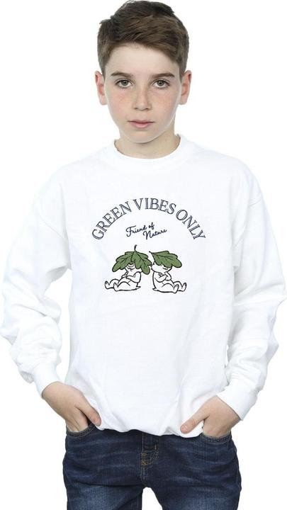 Image du produit Disney - Sweat CHIP 'N DALE GREEN VIBES ONLY - Garçon (116)