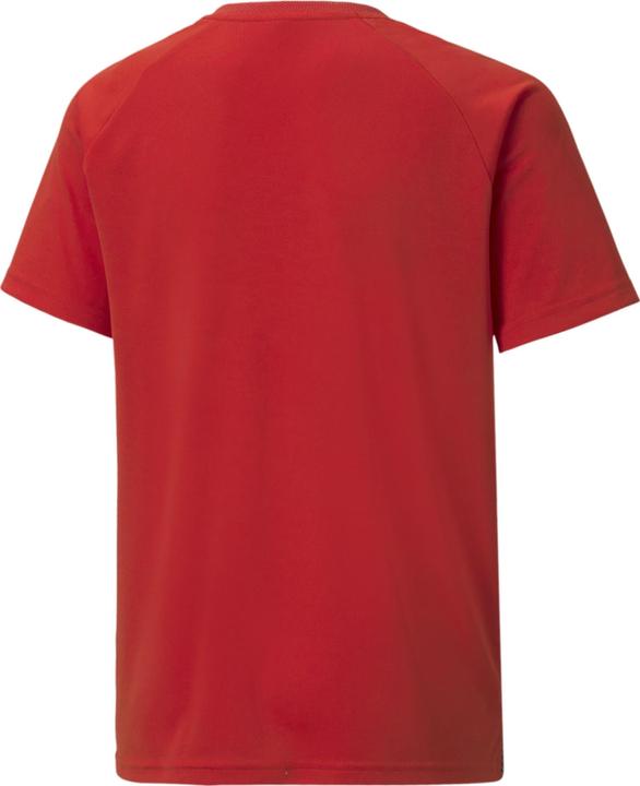Actual product image Puma teamLIGA Striped Jersey Jr-704927 (176)