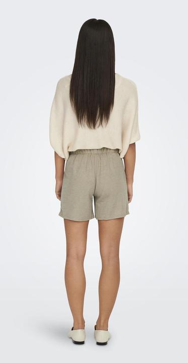 Actual product image JdY Regular fit shorts Shorts (M)