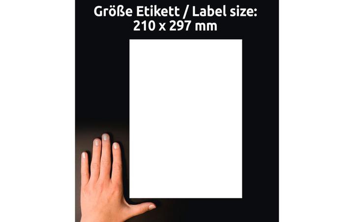 Produktbild Avery AVZ L8001-10 Antimikrobielle Etiketten 210x297mm weiss