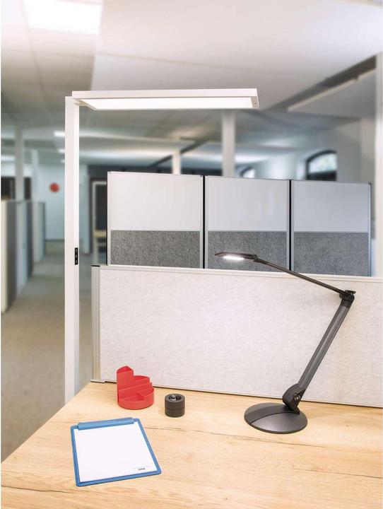 Image du produit Maul Lampadaire LED MAULsenja, variateur, détecteur de mouvement/lumière - blanc (15150 lm)