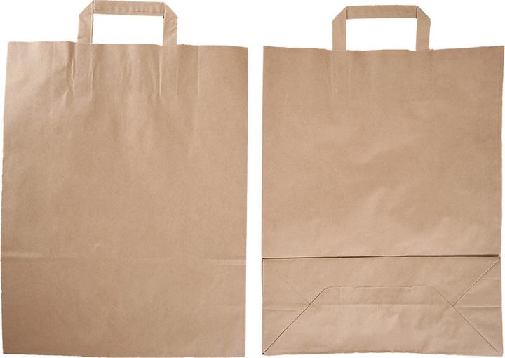 Actual product image Elco Paper carrier bags (50 Piece)