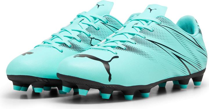 Produktbild Puma Attacanto FG/AG (43)