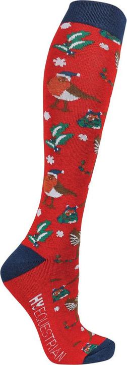 Image du produit Hy Fashion - Chaussettes RUBY THE ROBIN - Femme (Lot de 3, 34 - 37)
