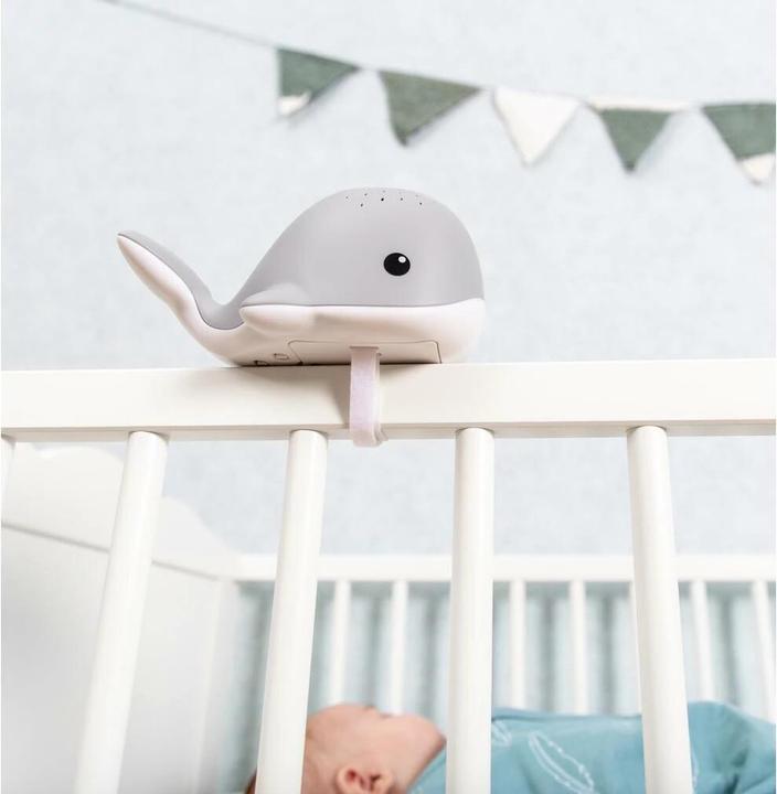 Actual product image ZaZu Wally