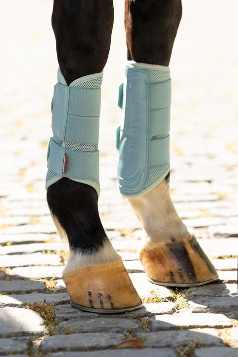 Actual product image LeMieux Arika (S)