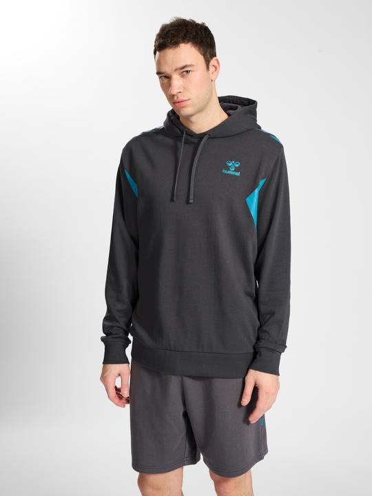 Image du produit hummel Hmlstaltic Cotton Hoodie (L)