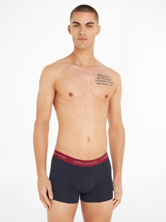 Productafbeelding Tommy Hilfiger WB Kofferbak (S, Set van 3)