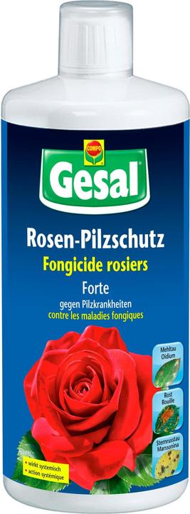 Produktbild Gesal Rosen-Pilzschutz Forte (Mehltau)